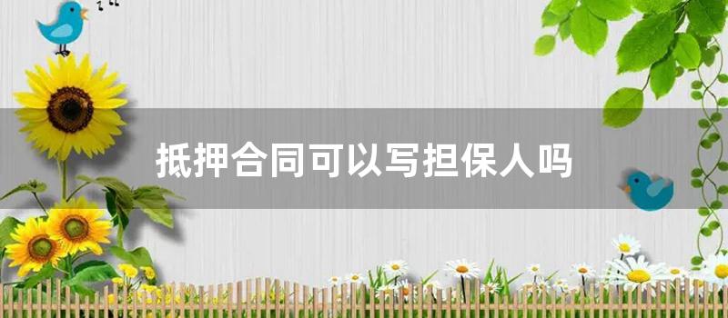 抵押合同可以写担保人吗