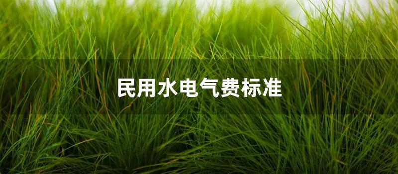 民用水电气费标准 (广州的民用水电气费分别是多少)