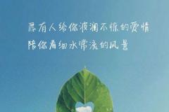 精选个性创意文字图片手机壁纸