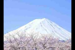 富士山下为什么恐怖?每年自杀死亡人数成百上千