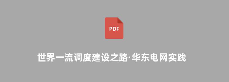 世界一流调度建设之路·华东电网实践