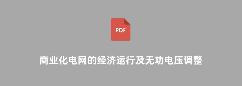 商业化电网的经济运行及无功电压调整