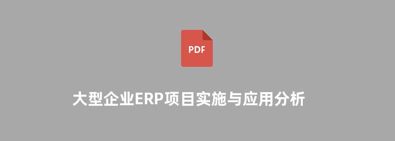 大型企业ERP项目实施与应用分析