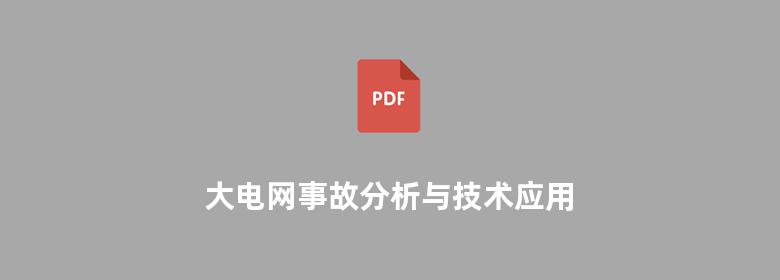 大电网事故分析与技术应用