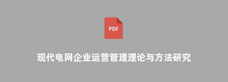 现代电网企业运营管理理论与方法研究