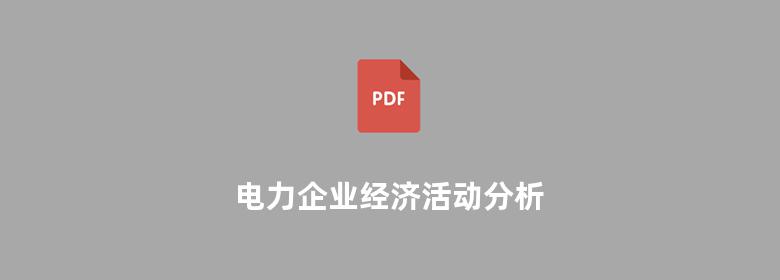 电力企业经济活动分析