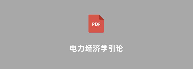 电力经济学引论