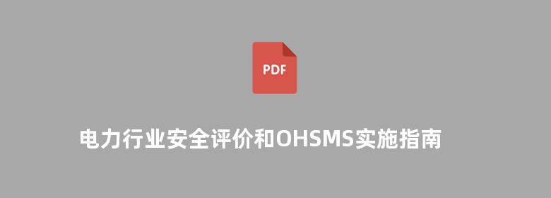 电力行业安全评价和OHSMS实施指南