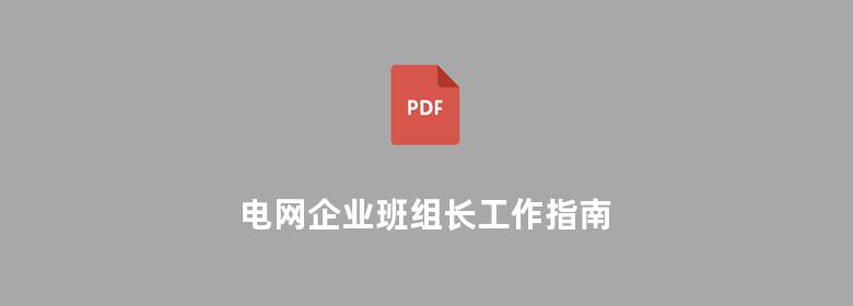 电网企业班组长工作指南