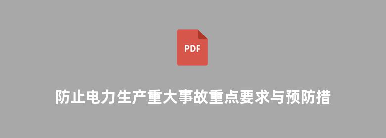 防止电力生产重大事故重点要求与预防措施及典型事故分析工作手册